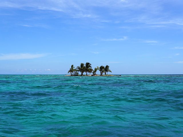 A palm-covered island in the San Blas archipelago A palm-covered island in the San Blas archipelago